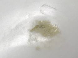 �|���G�X�e�� �f�b�L 11_2